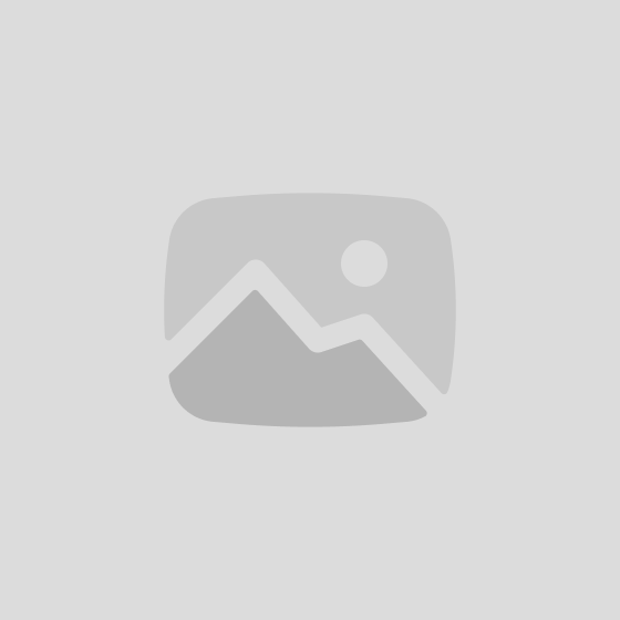 Music Track License (Royalty Free)